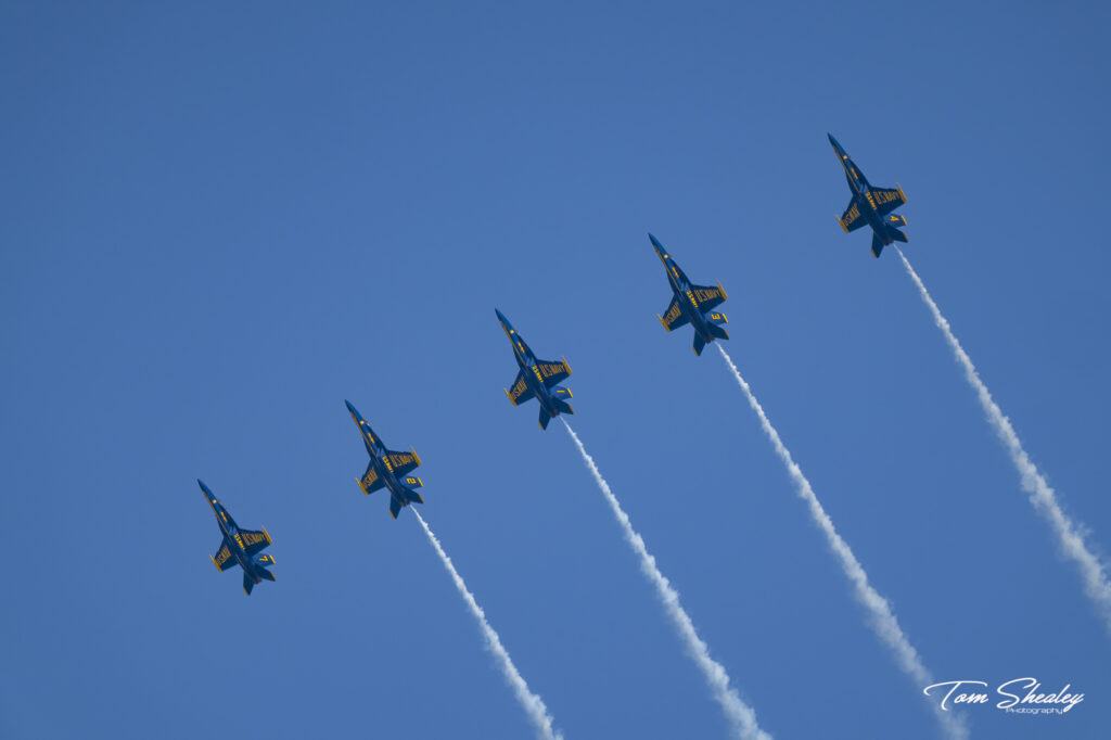 DSC00420-Edit