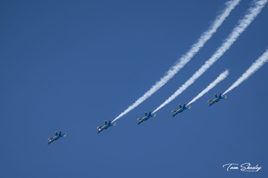 DSC00427-Edit