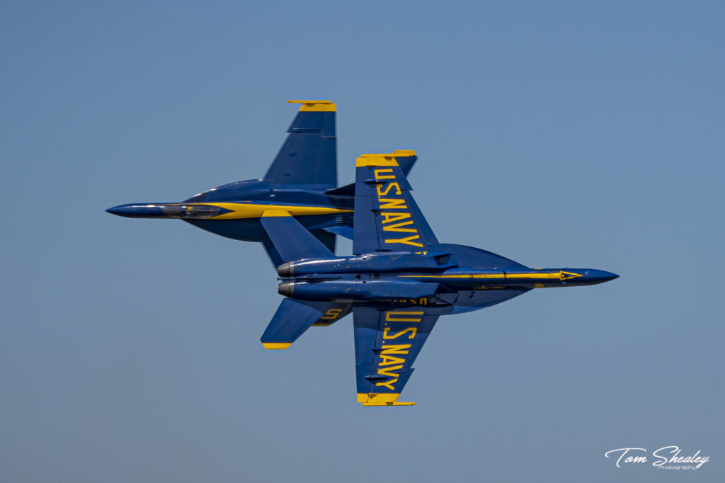 DSC03620-Edit