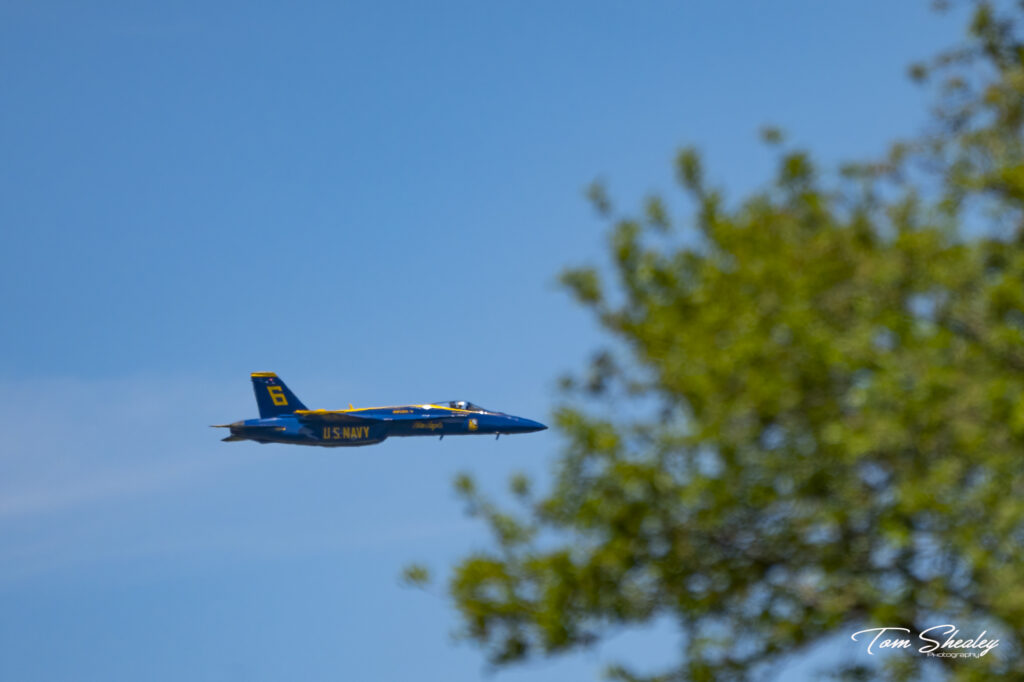 DSC05906-Edit
